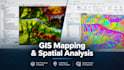 do mapping, spatial data processing and gis analysis