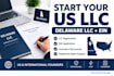 register your delaware llc and assist with ein application