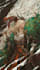 draw fantasy character art for dnd and rpg