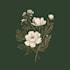 design a unique botanical and nature inspired logo