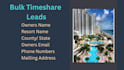 provide bulk timeshare owner leads