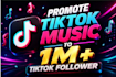 tiktok sound music promotion