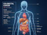 draw anatomy and medical vector illustration