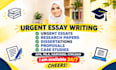 do urgent essay writing as an essay writer