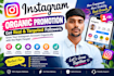 instagram organic promotion and targeted audience growth