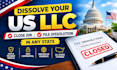 dissolve your US llc, close ein and file llc dissolution in any state