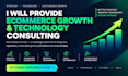 provide ecommerce growth and technology consulting