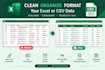 clean format and organize excel or CSV data
