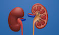 animate your surgical procedure , medical device in 3d