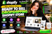 build a high converting shopify dropshipping store with winning products