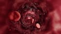 animate a 3d surgical or cardiovascular procedure walkthrough