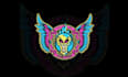 design existing strength and conditioning blog logo