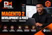 design your professional magento website
