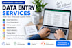 do accurate data entry copy paste excel and web research