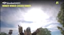 console pubg coach anyone to a winner winner chicken dinner