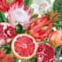 illustrate best botanical illustration