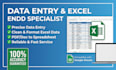 do accurate data entry and excel data cleanup