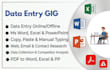be your professional data entry and microsoft office expert