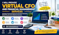 provide virtual cfo and financial management services