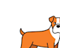 create wonderful and excellent dog logo design