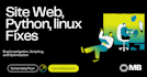 fix bugs and write scripts in python, linux