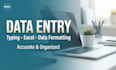 do accurate data entry and excel data formatting
