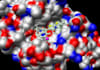 conduct molecular docking and virtual screening