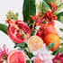 illustration botanical and flower beautifully