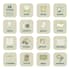 create a full app icon set in multiple styles