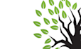 a professional modern tree logo