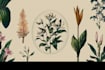 illustrate best botanical illustration