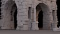 professional video editing and motion graphics