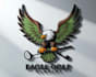 design an eagle, falcon, owl, bird logo or illustration