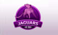 design a creative gradient jaguar logo for your brand