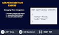 fix bugs, debug apis, and integrate your web application