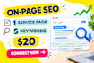 fix on page SEO issues on your website