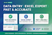 do data entry hospital sheet