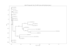 build a phylogenetic tree and analyze your amr gene sequences