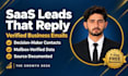 do saas b2b lead generation with verified emails
