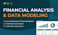 do financial analysis, data analytics and credit assessments