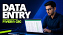 do professional data entry copy