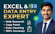 do expert data entry, data cleaning work