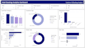 build a professional power bi dashboard with data cleaning