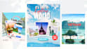 design professional travel flyers and posts