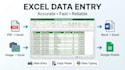 do excel data entry and convert PDF or image to excel