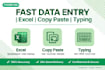 do fast data entry excel work copy paste typing