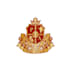 create a premium heraldic crest and regal logo design