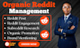 create reddit SEO post to promote website for traffic