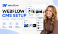 setup webflow cms collection, dynamic filtering,  blog layout, webflow developer