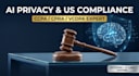 conduct a comprehensive ai privacy and ccpa compliance assessment